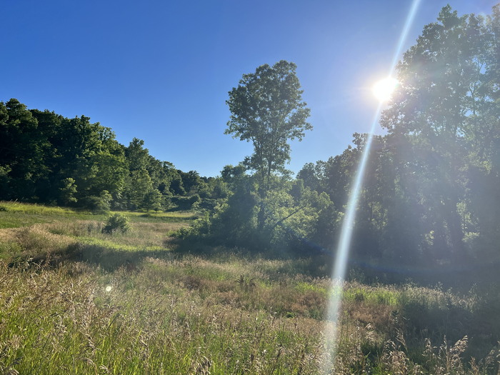 Manchester Speedway - July 9 2022 Photo (newer photo)